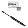 Genuine 817713M000 Rear Trunk Lift Support Strut For Hyundai Genesis 2008-2014